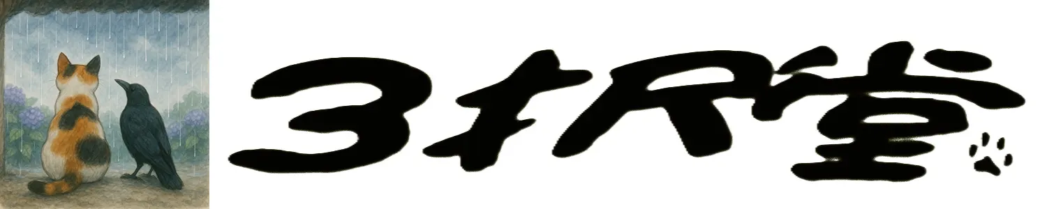 ３択堂